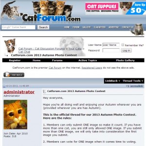 cat forum screenshot